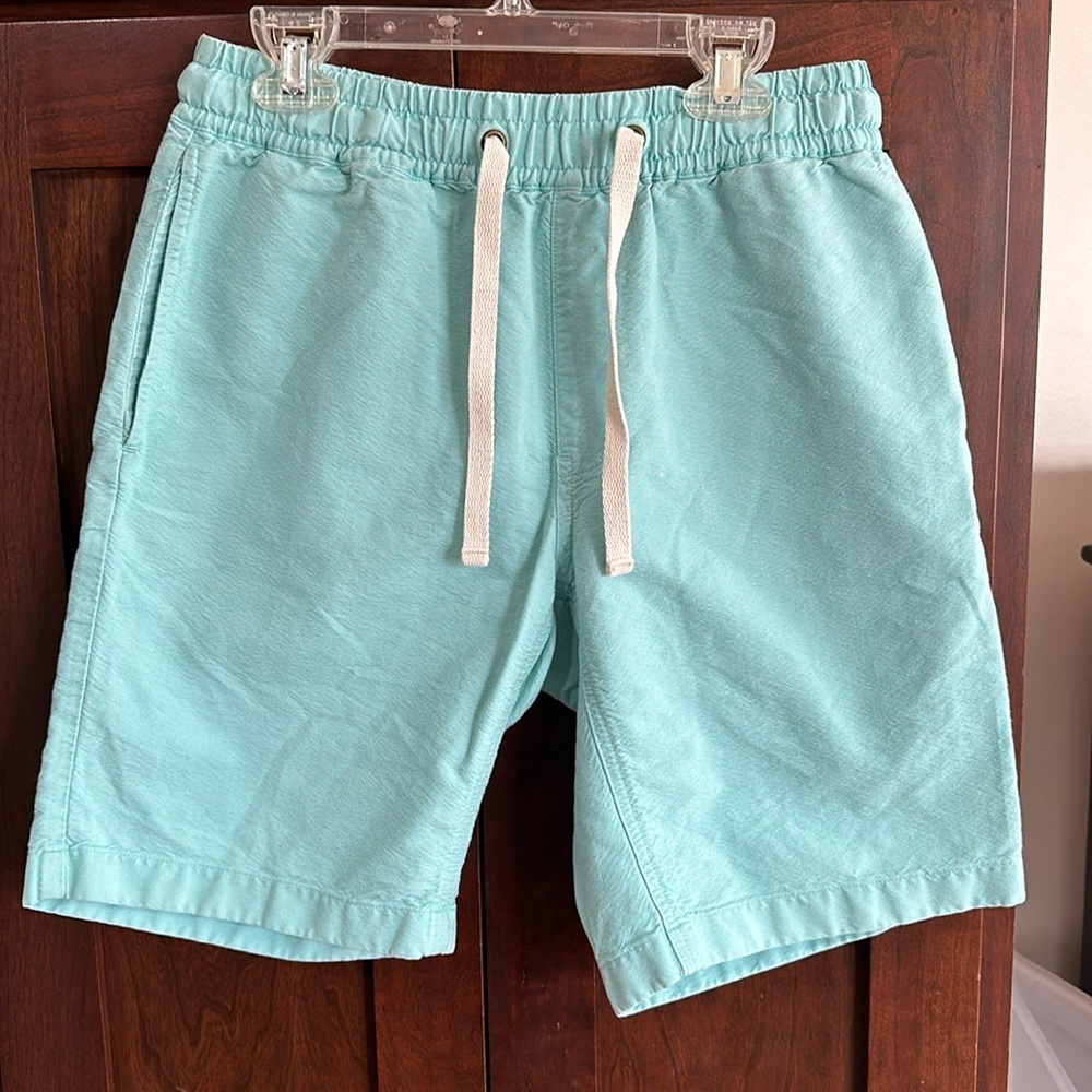 J. Crew Light Blue Men's Flat Front Shorts
